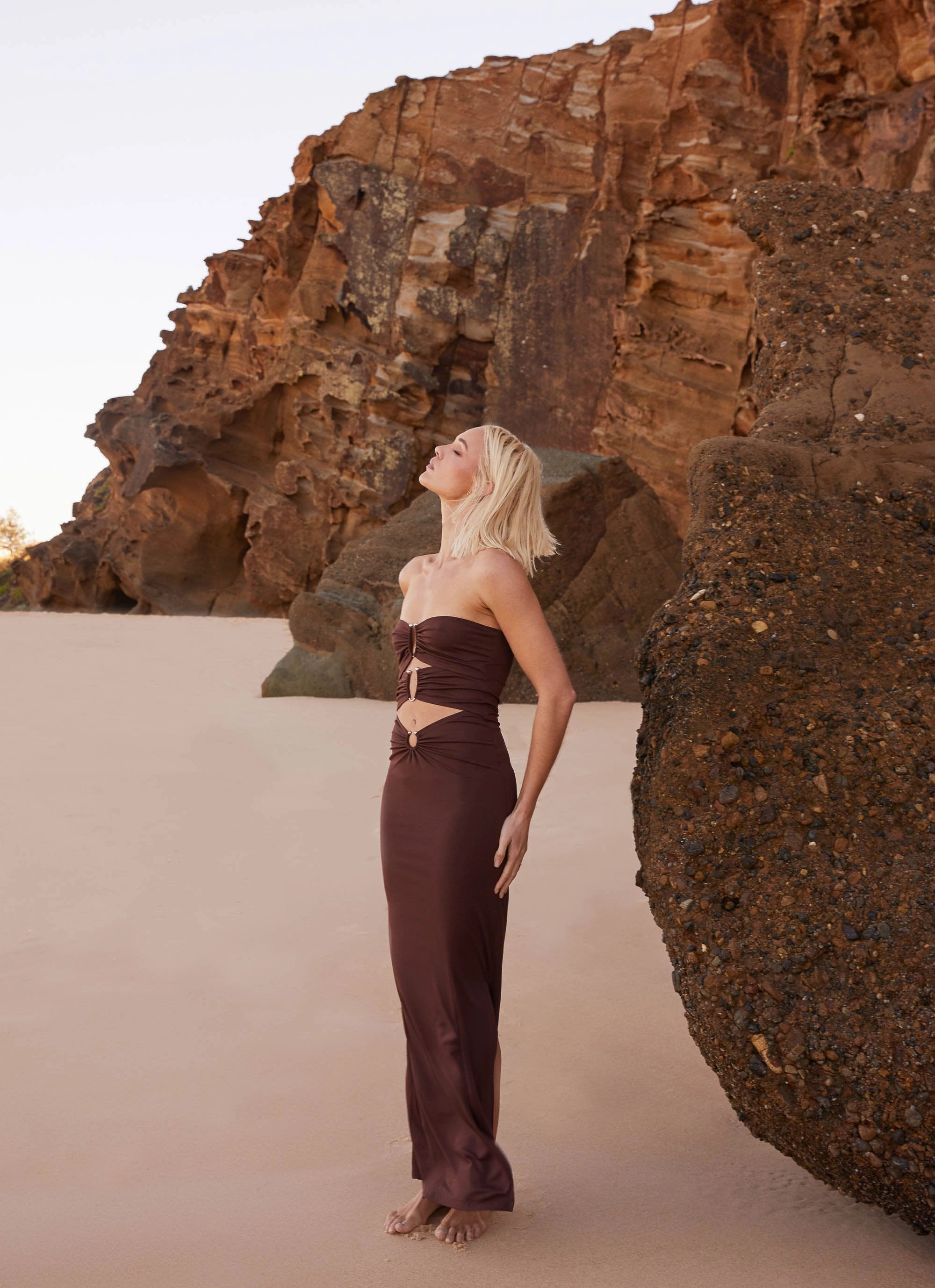 Elegant Detail Smooth Finish Natasha Strapless Maxi Dress - Chocolate