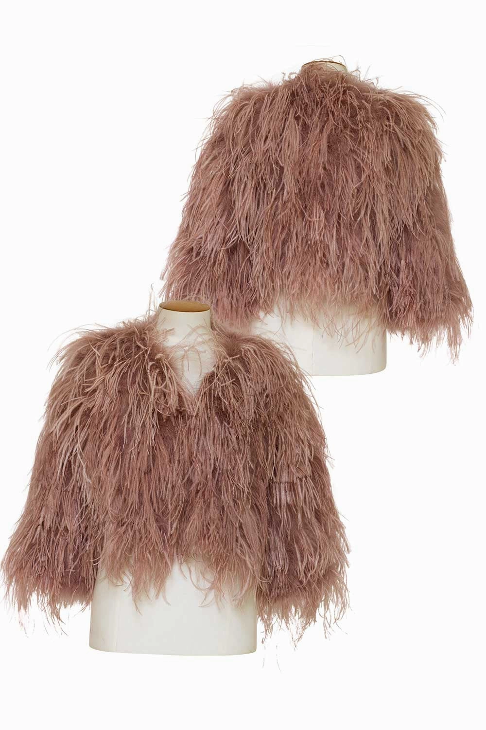 Birds of a Feather - BOAF26 Dita Jacket elastic waistband