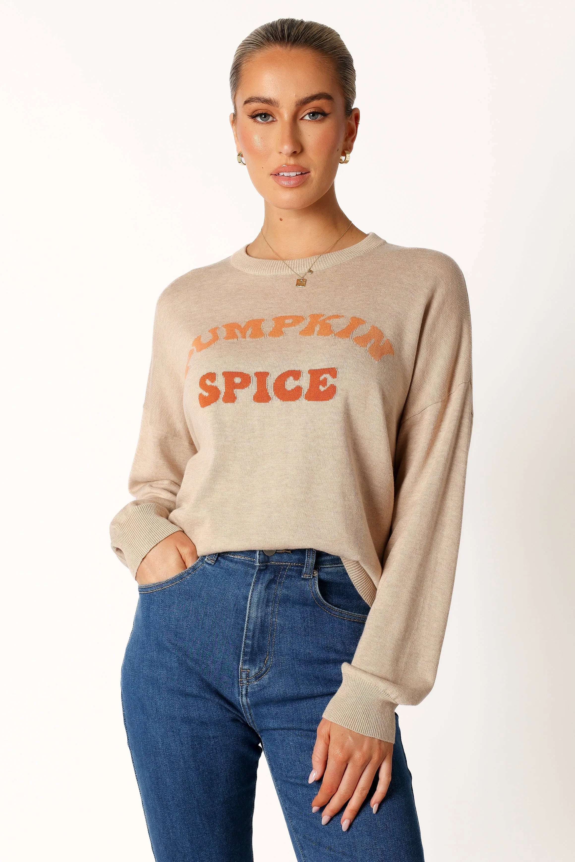 Fall Walk Pumpkin Spice Knit Sweater - Oatmeal
