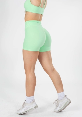 RecStretch Original Sculptseam? Plus Short Mint Chip tumble dry
