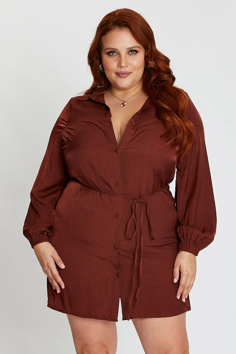 Brown Long Sleeve Tie Waist Shirtdress Daily Style Cozy Fit