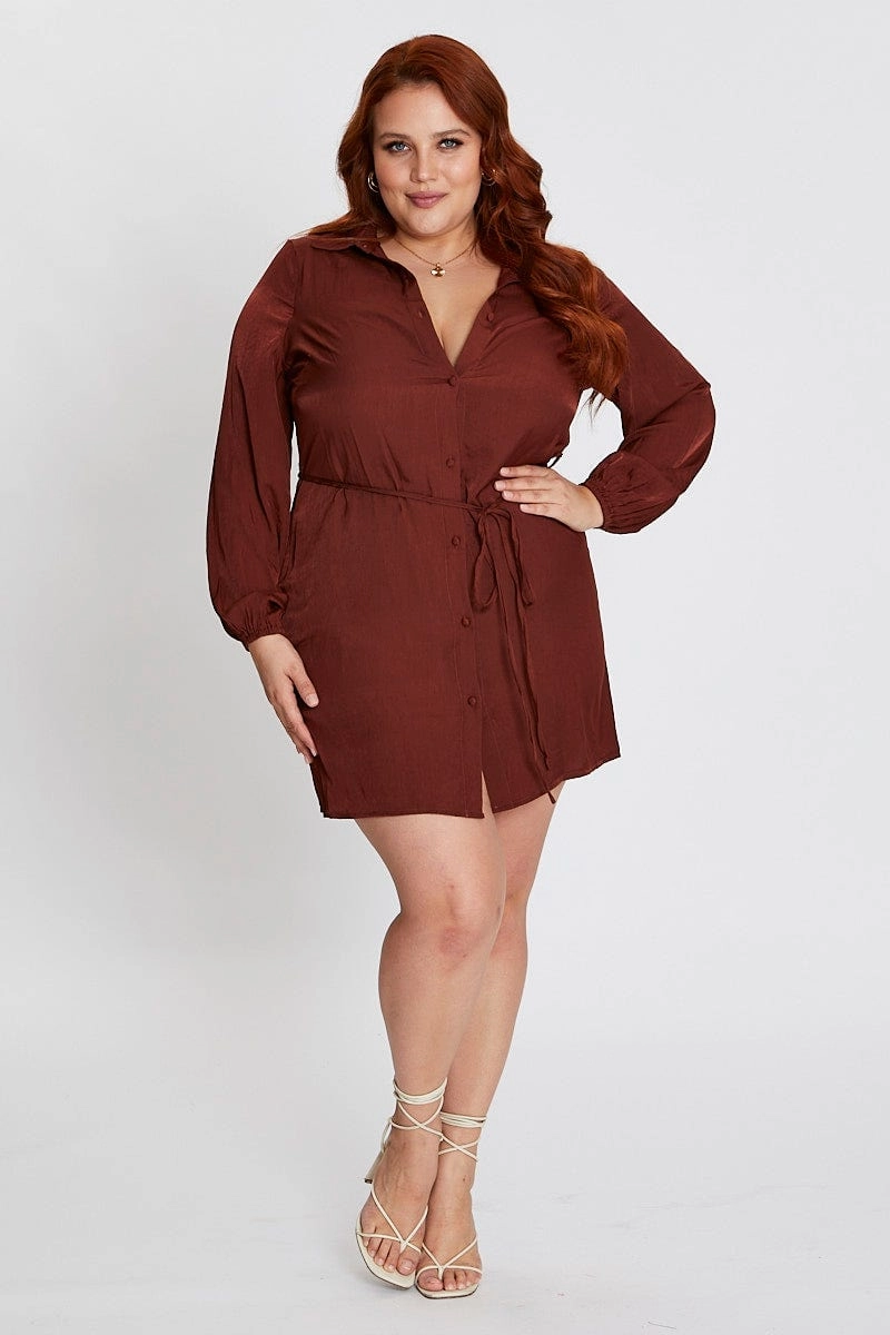 Brown Long Sleeve Tie Waist Shirtdress Simple Yet Elegant Tassel-Detail