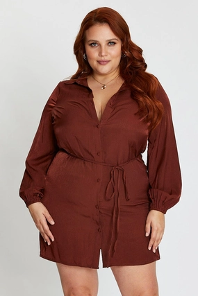 Brown Long Sleeve Tie Waist Shirtdress Daily Style Cozy Fit
