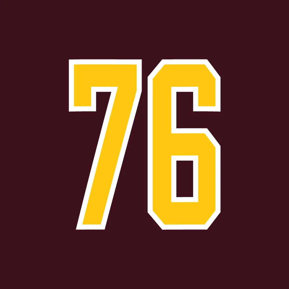 product review Champion Men's Superfan Hockey Hood - Multi